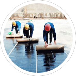 香港免费资料六曲大全