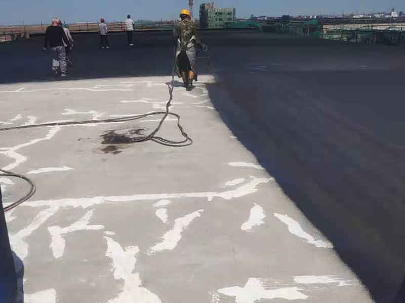 feb088064bfdc7a1c19089e8b7ce488